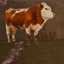 Decorative_Cow logo