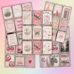 Pink Paper Society – Vintage Poster Collection project image