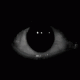 The Perfection project image