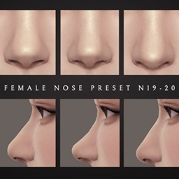 Female Nose Presets 19-21 project image