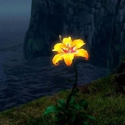 solace - cozy adventuring pack