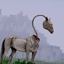 WEIRD HORSE logo