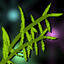 Panda - Cursed Fate Addon logo