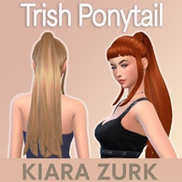 Trish Ponytail project image