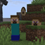 Steve creepers logo