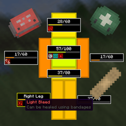 Vanilla mob health for Medical system project image