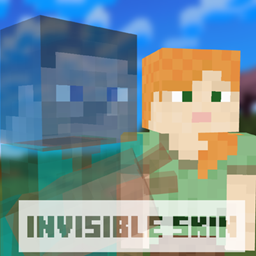Invisible skins | hide player armor and items project image