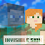 Invisible skins | hide player armor and items logo