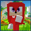 Knuckles the Echidna 4d skin logo