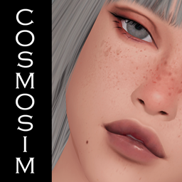 Stellar Palette Lipstick N5 project image