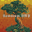 Somnium SMP logo