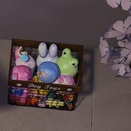 Dog Toy Box logo