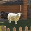 Decorative Sheep logo