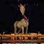 The CreepyHorse logo