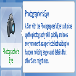 kiarasims Photographer's Eye Trait/ translation spanish by Monisims project image
