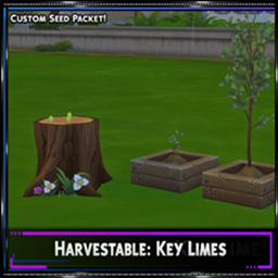 SrslySims Harvestable: Key Limes / translation spanish by Monisims project image