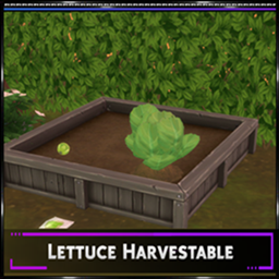 SrslySims Harvestable: Lettuce / translation spanish by Monisims project image