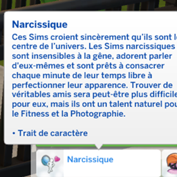 Narcissistic Trait - Traduction FR project image