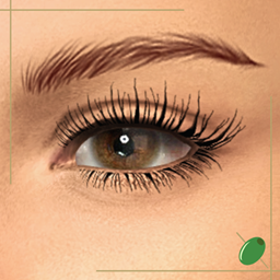 Krissy 3D Lashes project image