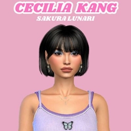 Cecilia Kang CC project image