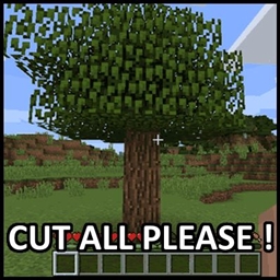 DropTheWood project image