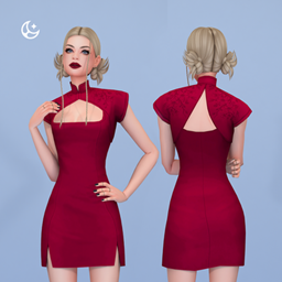 Short Dress - Dragon Gate Collection project image