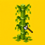 Bamboo Physics logo