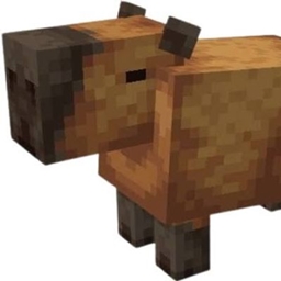 Kara Capybara's D&D