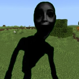 The  Don't  hide project image