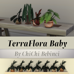 TerraFlora Baby plants collection project image