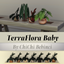 TerraFlora Baby plants collection logo