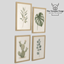 Quiet Botanicals logo