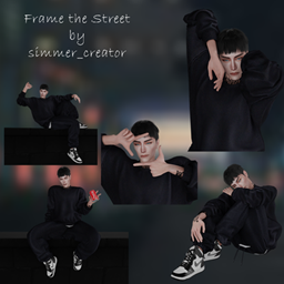 Frame the street project image