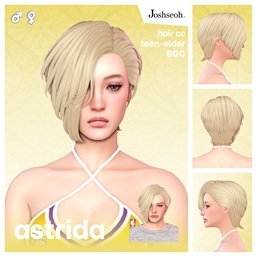 Astrida Hair project image
