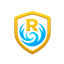 Raidify Loot logo
