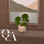Quiet Atelier - Kinsugi Leaves logo