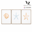 Azure Coast Trio [VZ] logo
