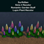 Garden Lupin Plants logo