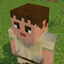 Terran Villagers logo