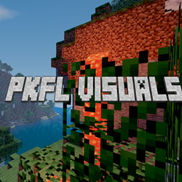 PKFL Visuals project image