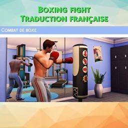 Mod Boxing Fight créé par Kiara - Trad FR project image