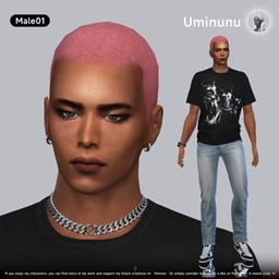 Uminunu-M1 project image