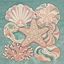Tidal Treasures – Dreamy Coastal Rug Collection logo