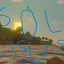 solisus logo