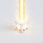 The brightest biome ever... logo