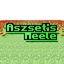 Aszset's Meele logo
