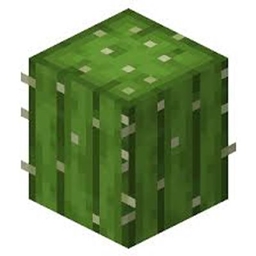 sky cactus