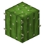 sky cactus logo
