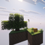 Normal Skyblock logo