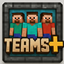 Team Plus logo